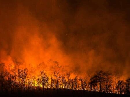 Dedicated wildfire supercomputers to power AI forecasting