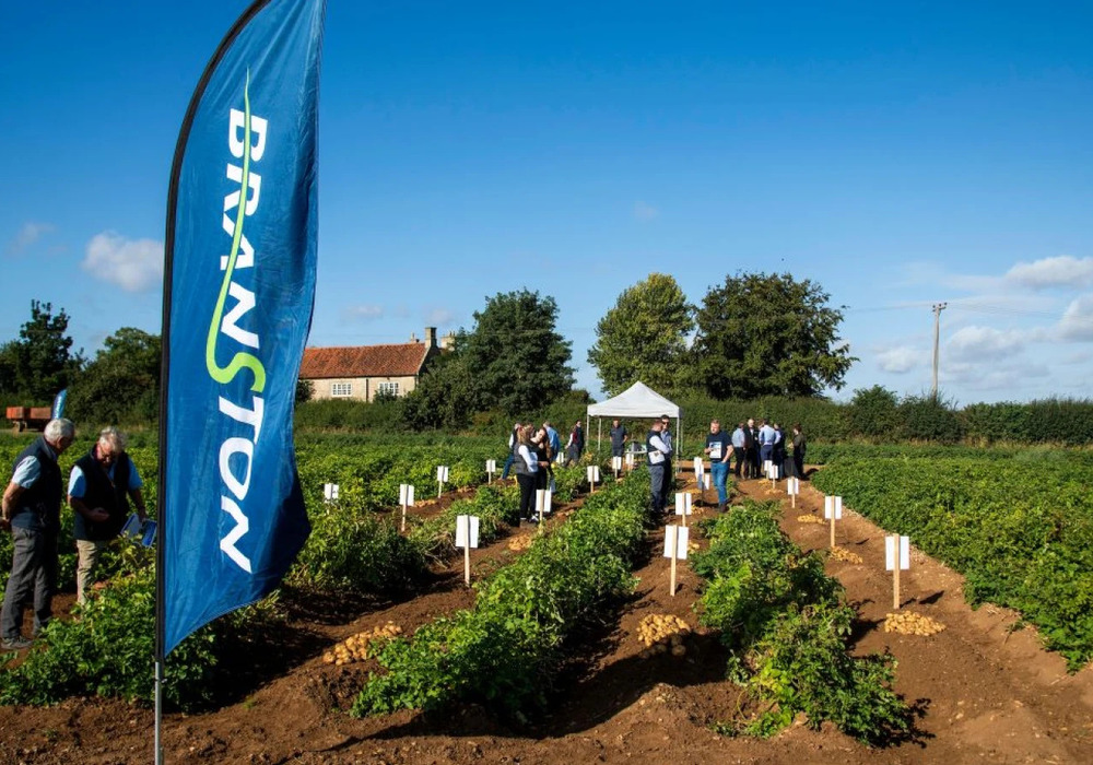 Lincolnshire’s potato farmers unveil tomorrow’s supermarket sensations Lincolnshire’s potato farmers unveil tomorrow’s supermarket sensations