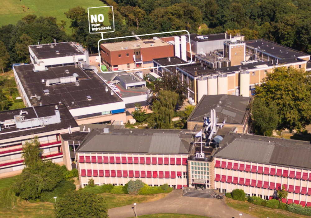 NoPalm and Nizo combine to engineer the next generation of sustainable ingredients NoPalm and Nizo combine to engineer the next generation of sustainable ingredients