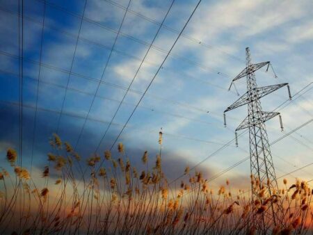 SRP and Google collaborate on LDES research