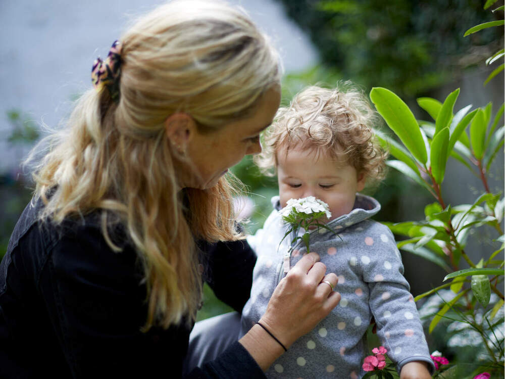 Mothers prioritise formula for infant and toddler growth and immunity