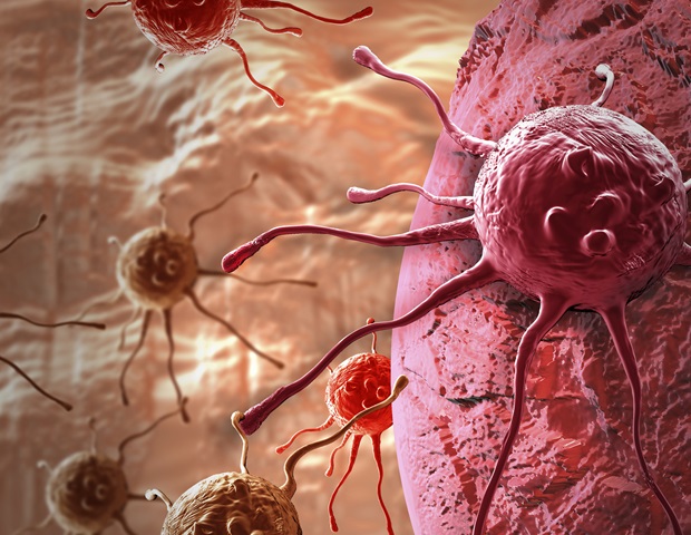 Thymic health found to predict immunotherapy success in cancer patients