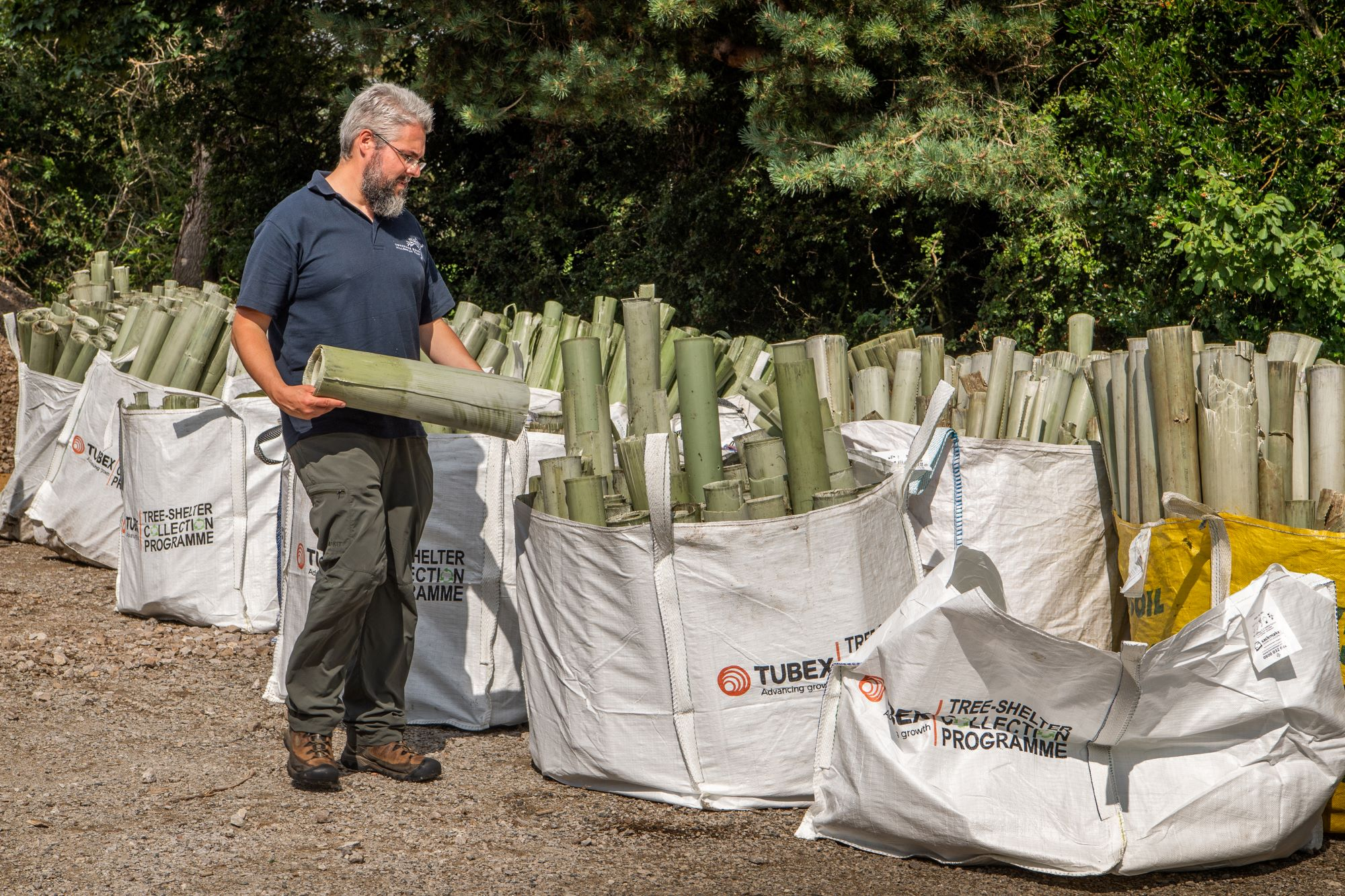 Number of recycled tree shelters blooms, Tubex reports