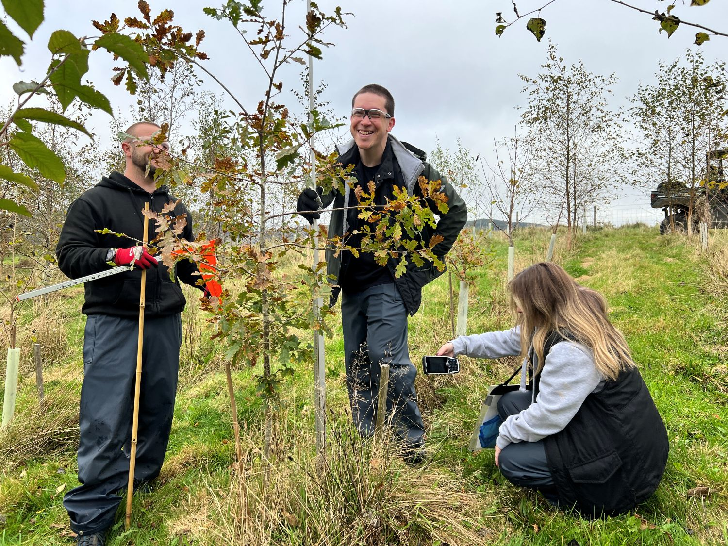 Tubex shelters support long-term carbon study