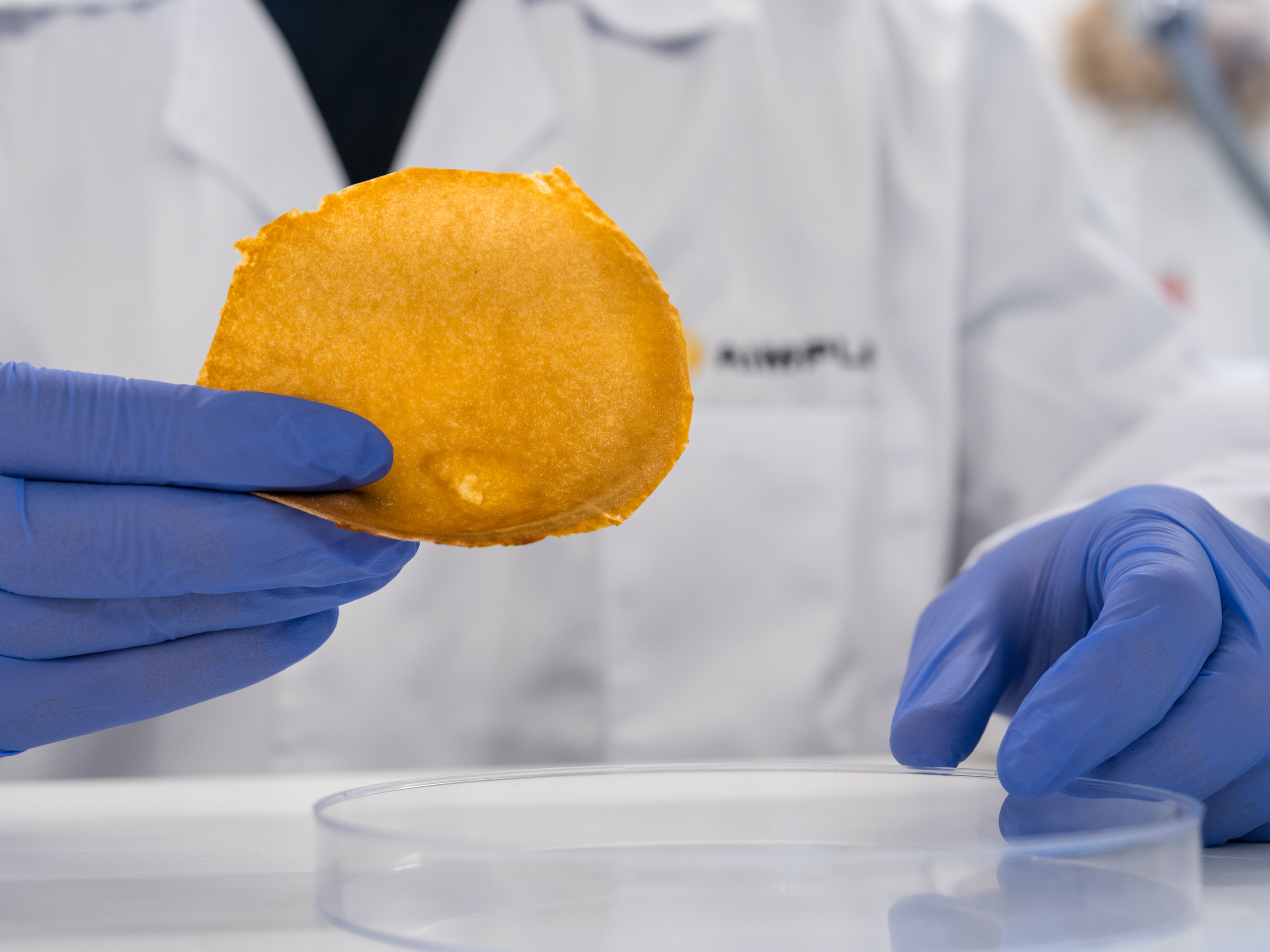 AIMPLAS advances fungal leather waste valorisation project