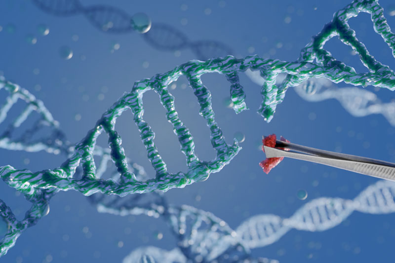 Gene therapy programme advances rare immune treatment