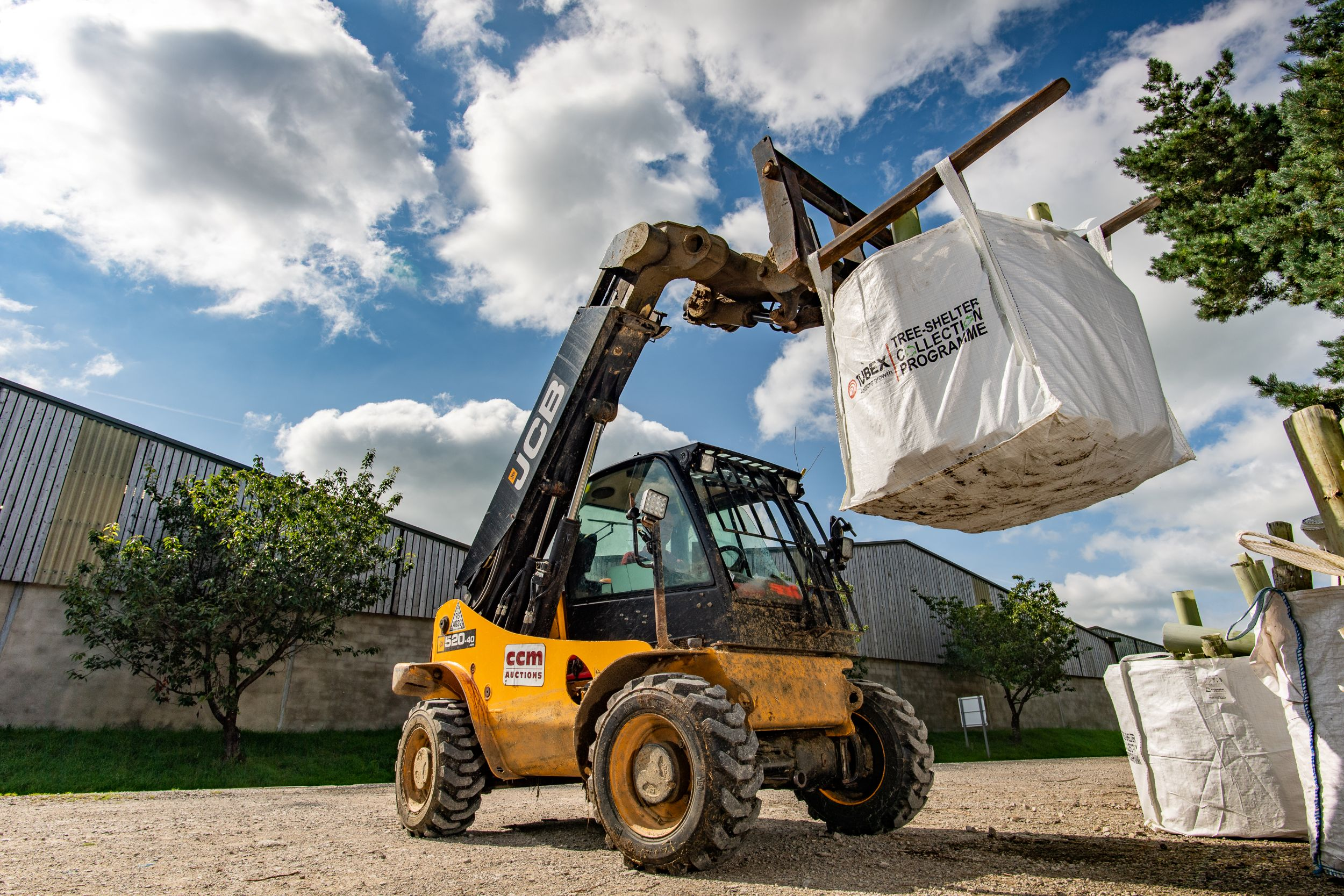 Tubex seeks more Scottish tree shelter hubs Tubex seeks more Scottish tree shelter hubs