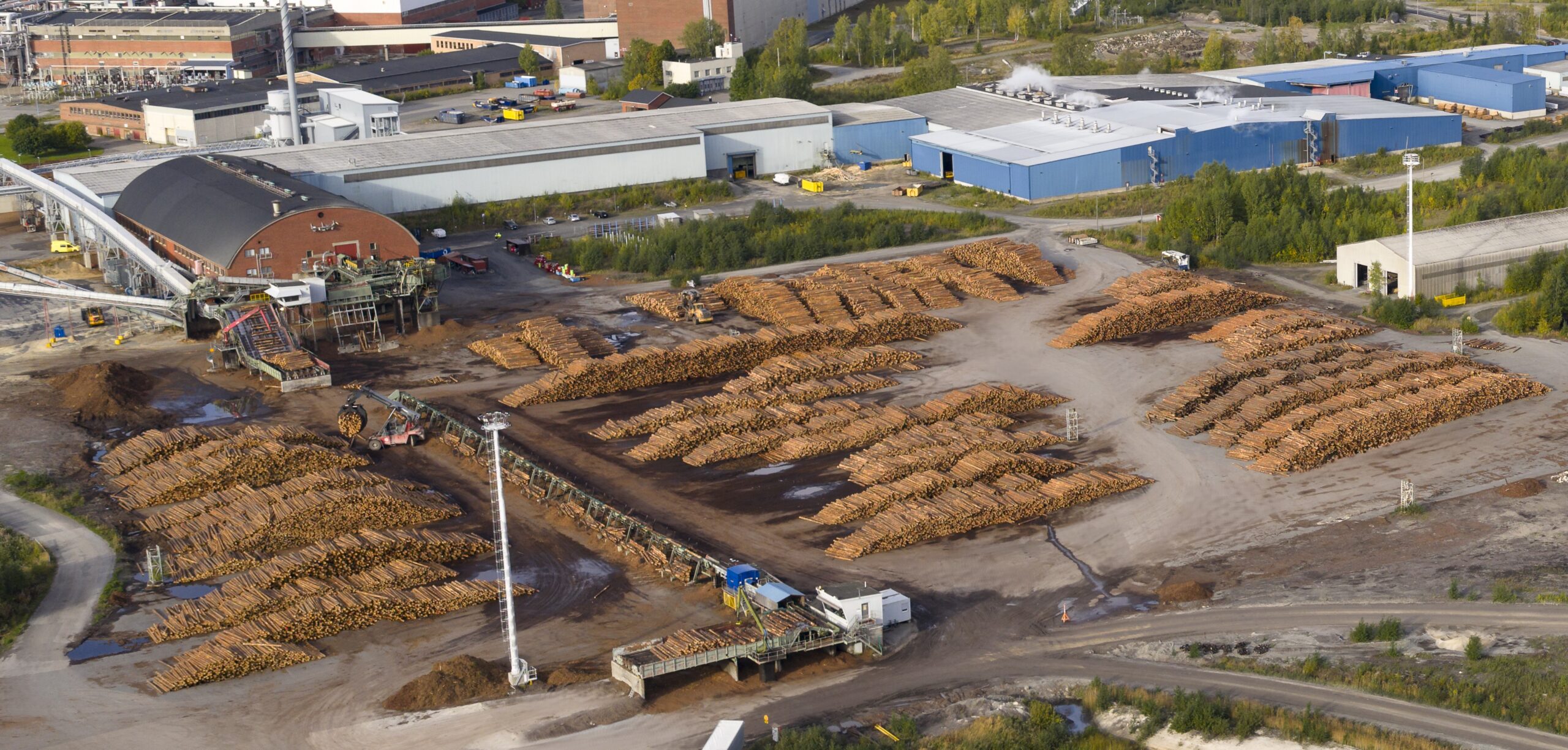 Stora Enso plans northern Finland sawmill consolidation