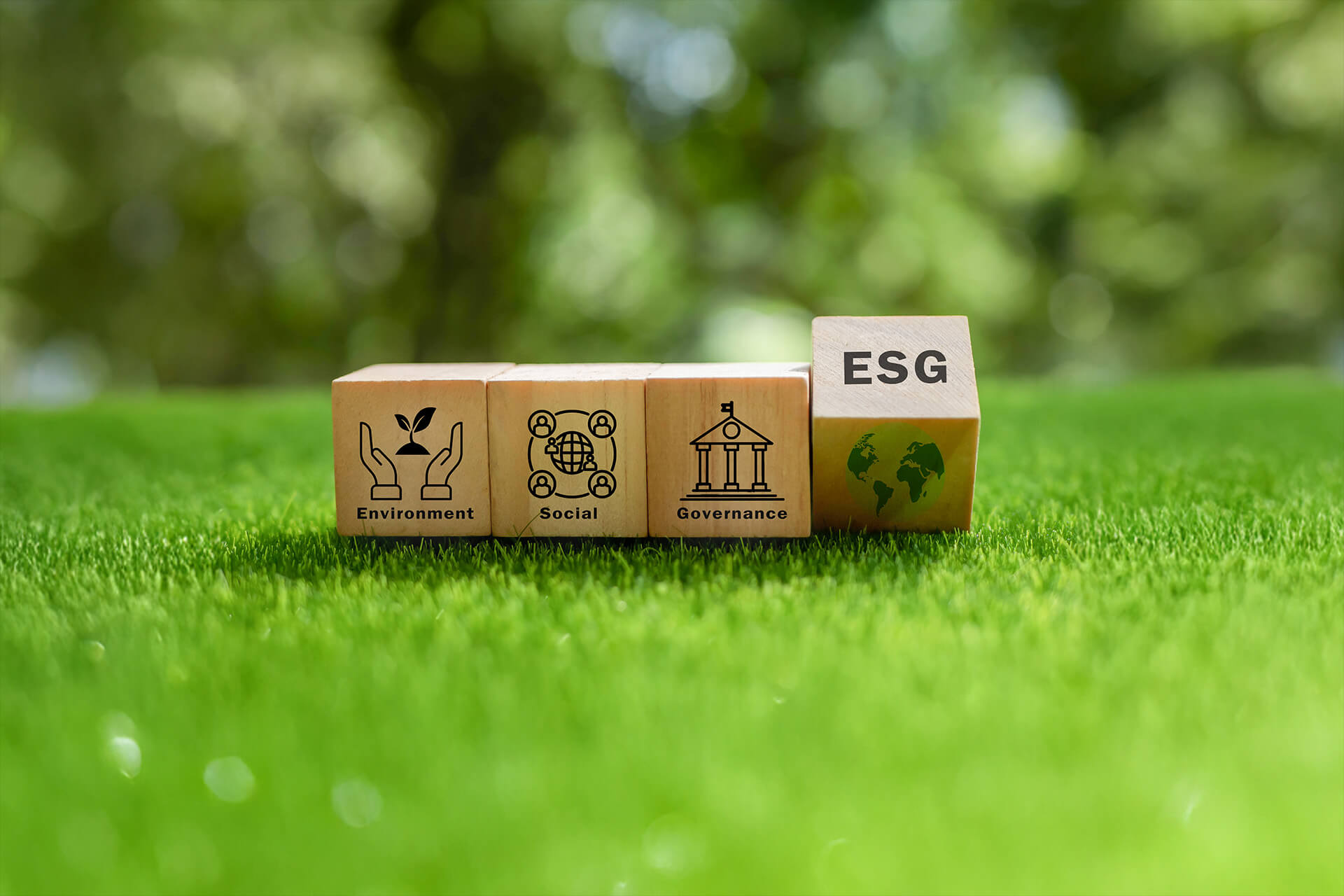 Why Scope 3 is the key to decarbonisation Why Scope 3 is the key to decarbonisation