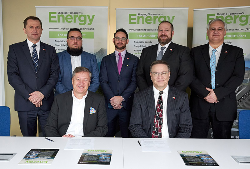 Westinghouse selects Polish suppliers for AP1000 modules